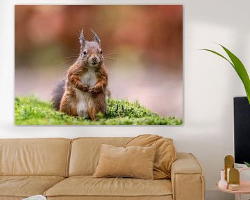 Seltsames Eichhörnchen in herbstlicher Umgebung! von Robert Kok