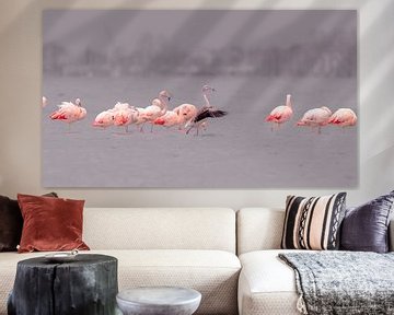 Flamingo's in de Hollandse delta van René van Leeuwen