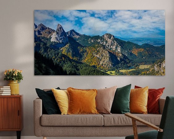 Aperçu de la chambre