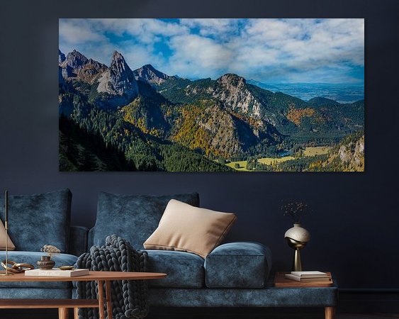 Aperçu de la chambre