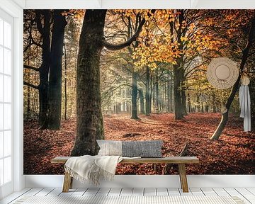 Speulderbos by rosstek ®