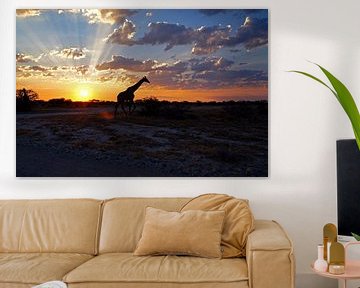 Giraffe bei Sonnenuntergang von Herman van Egmond