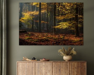 Couleurs d'automne sur Eelke Brandsma