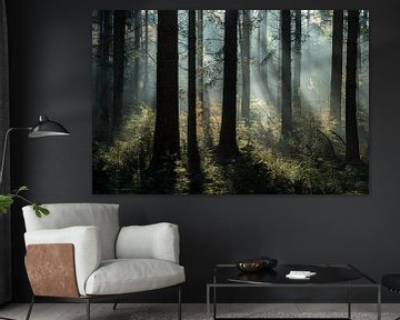 mystical pine forest by Eelke Brandsma