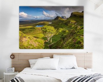 Tree in the Quiraing by Antwan Janssen