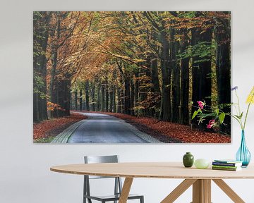 Autumn forest Gasselte with road by R Smallenbroek