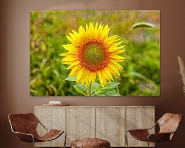 Sonnenblume in ihrer vollen Pracht von Fotografie Arthur van Leeuwen