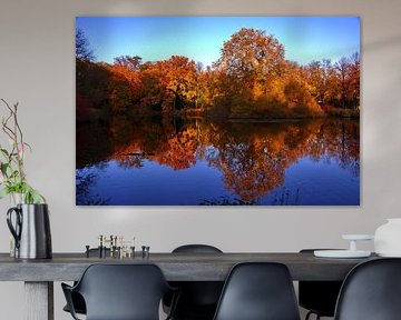 autumn pond