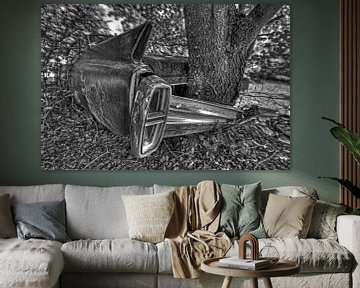 Trees and cars, a long story van Jos Hug