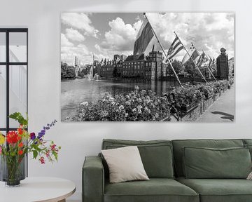 Provincievlaggen Binnenhof Den Haag Hofvijver van Arthur Scheltes