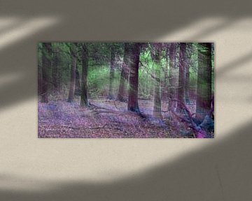 Mystischer Wald von EFFEKTPHOTOGRAPHY.nl