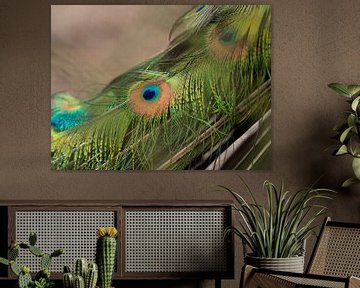 Peacock abstract no. 1 by Wendy Drent
