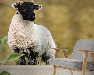 Schottisches Schaf von Arun Shanmugampillai