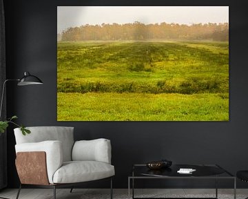 Paysages d'automne Haar-Zuijlens, Utrecht