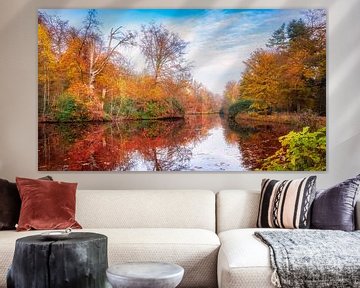 Bunter Panoramablick mit Herbstfarben im Wald