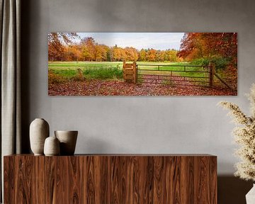 Dutch landscape in autumn by eric van der eijk