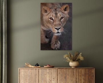 De leeuwin kijkt naar je... van Michael Semenov