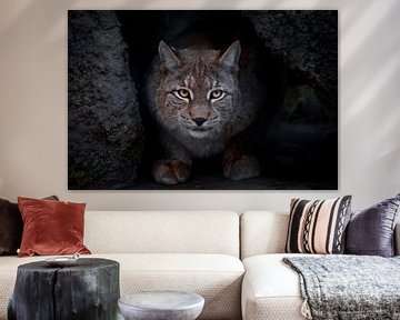 Lynx is a big cat by Michael Semenov