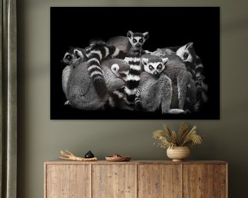 A lot cat lemurs gathered in a heap by Michael Semenov