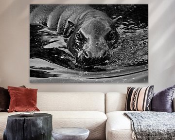 Snuitje in het water. Nijlpaard van Michael Semenov