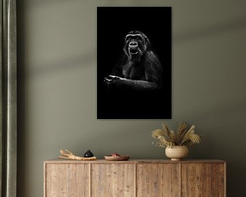 Très surpris (émotions) gorille femelle sur Michael Semenov