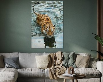 Tiger in the water. von Michael Semenov