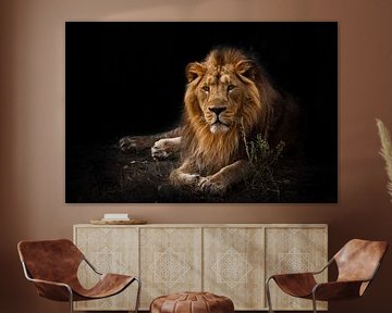 Het beest is een krachtig bemande mannelijke leeuw.... van Michael Semenov