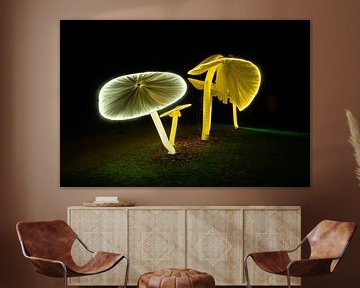 Lichtgevende Paddestoelen van Els Hattink