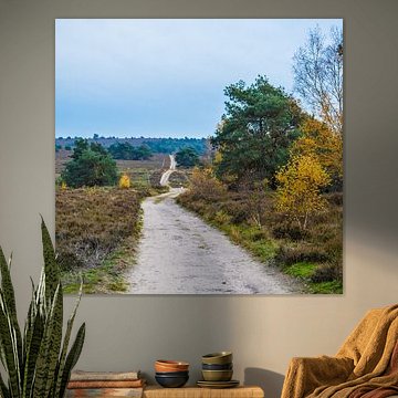 Endlose Straße durch die Heide.