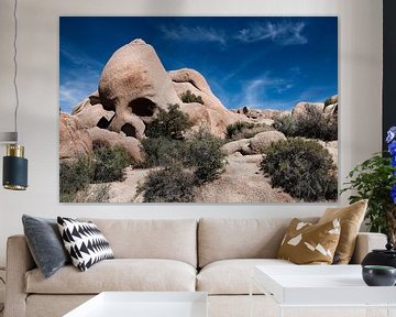 USA Rocks in Joshua Tree - diese ist der Skull Rock von Marianne van der Zee