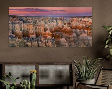 Coal Mine Canyon in Arizona van Henk Meijer Photography