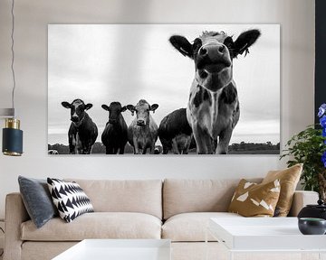 nieuwsgierige koeien zwart/wit van Liv Jongman