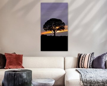 boom voor de zonsondergang van Liv Jongman