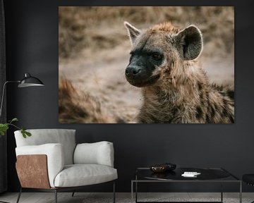 Moeder hyena van Pepijn van der Putten