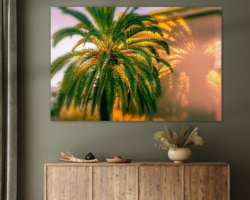 palm garden by Uwe Merkel
