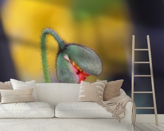 Raumvorschau