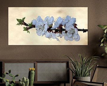 Branche de fleur.
