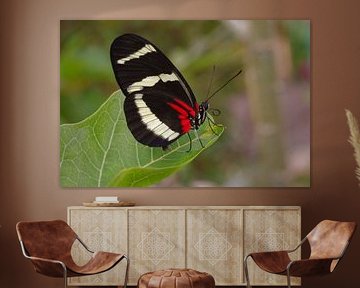 vlinder by Leo Hordijk