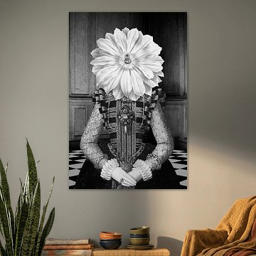 The Lady of Black Castle