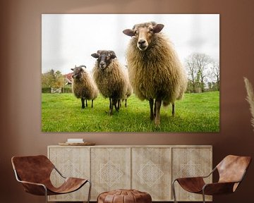 # Schafe von Jeroen Smit