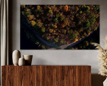 Luchtfoto kleurrijk bos met weg van Kelvin Middelink