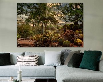 Jungle van Cactussen van Dennis Schaefer