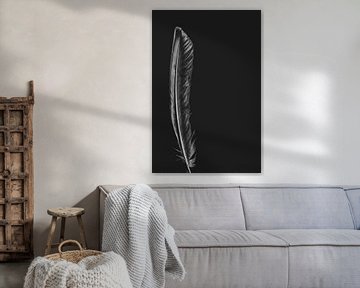 Black and white feather by Mirjam Bouma