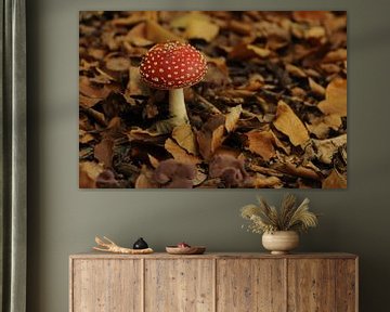 Mushroom van Lynn Finch