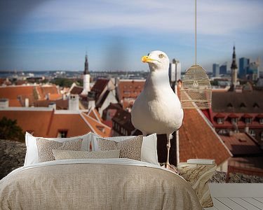 Raumvorschau