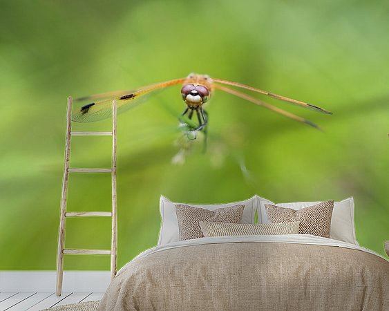 Aperçu de la chambre