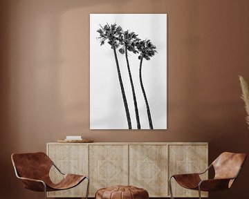 KALIFORNIEN Palmen am Strand | Monochrom von Melanie Viola