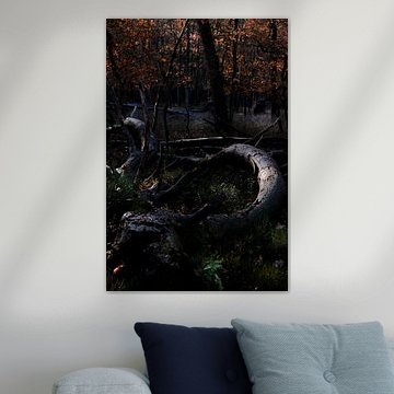 Structures in the forest