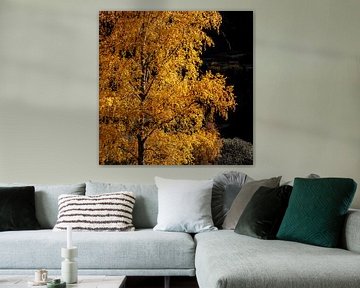 Tree of Gold by Twan van Vugt