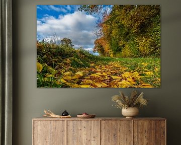 Schöne Herbstfarben in Südlimburg von John Kreukniet